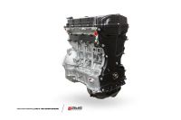 AMS Performance Crate Engines AMS.04.04.0009-1