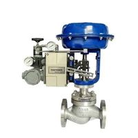 Pneumatic Sleeved Control Valve