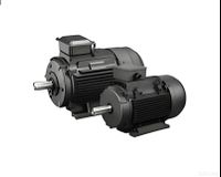 Permanent Magnet Synchronous Motor (PMSM)