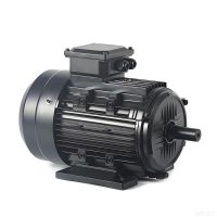 Permanent Magnet Brushless DC Motor