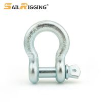 US Type Electro Galvanized Bow Shackle G209 Screw Pin