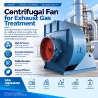 Paper Mill Waste Gas Treatment Centrifugal Fan